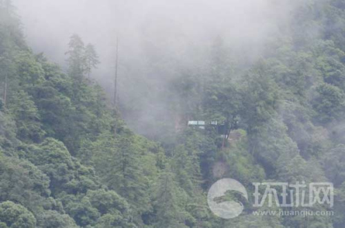 ��ӡ߅����ӡ܊���(b��o)վ���[��ԭʼɭ������