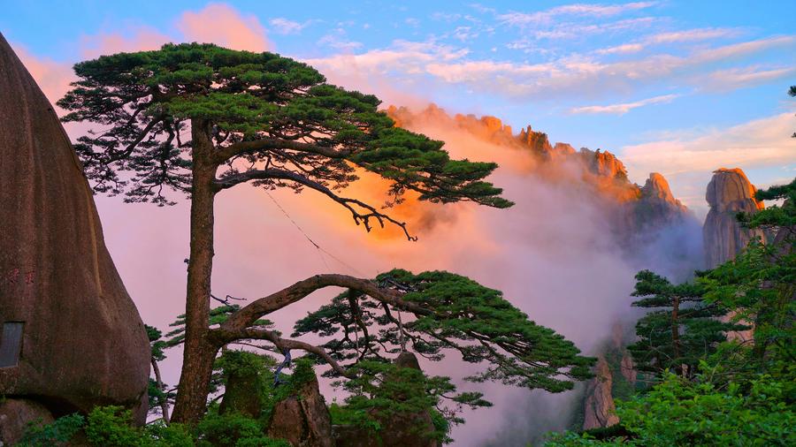 雨后黃山雨后放晴：云海、霞光、瀑布入畫來
