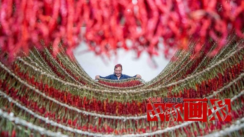 曬秋時間到！遍地斑斕好“豐”景