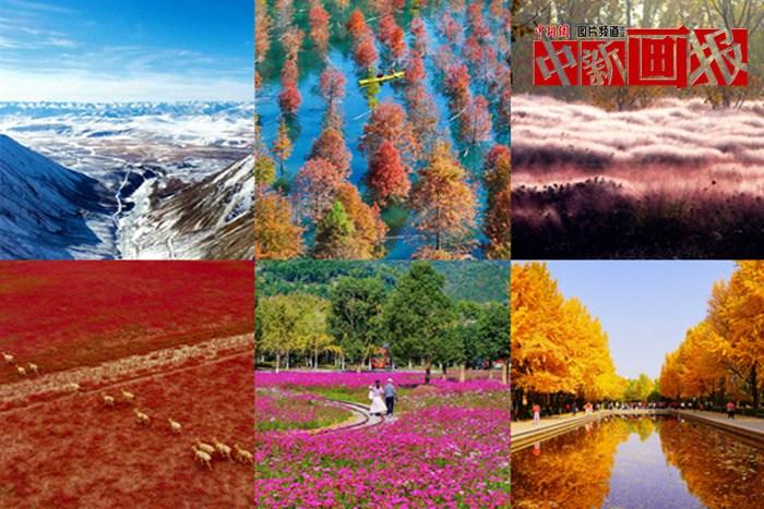 【圖刊】初冬至 大自然多彩冬衣“上新”啦！