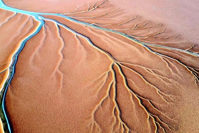 山東東營：黃河入?？诂F(xiàn)“潮汐樹”景觀