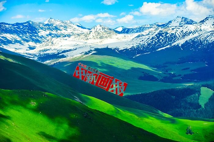 將夏天的“綠” 裝進屏幕里，一組護眼壁紙請查收！