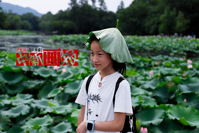 入伏有“涼”方 “花式”避暑輕松Get！