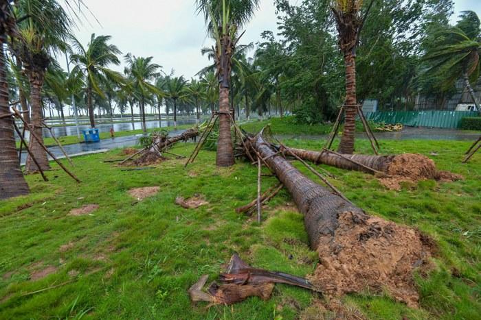 強(qiáng)臺(tái)風(fēng)“麥德姆”攜強(qiáng)風(fēng)雨影響?？?>
     <p>強(qiáng)臺(tái)風(fēng)“麥德姆”攜強(qiáng)風(fēng)雨影響海口</p>
</a><a href=