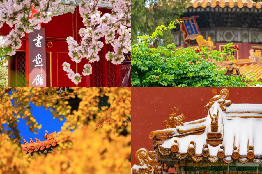 百歲快樂(lè)！一組圖領(lǐng)略故宮四季流轉(zhuǎn)之美