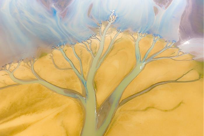 江西進(jìn)賢：鄱陽(yáng)湖灘涂現(xiàn)“大地之樹(shù)”景觀