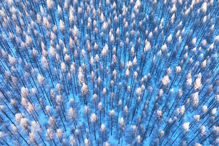 內(nèi)蒙古呼倫貝爾：山林霧凇銀裝素裹如仙境