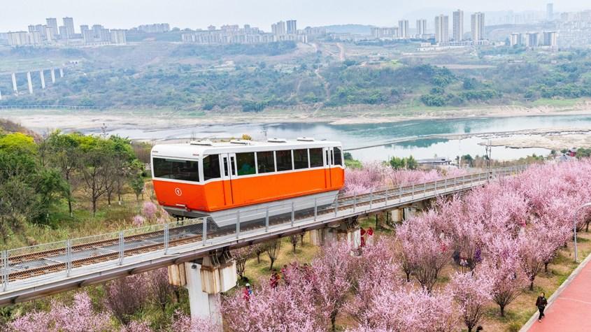 “穿梭春山的纜車(chē)”浪漫上線