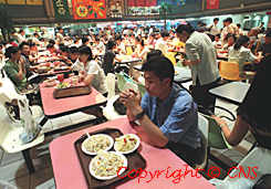 99090208.jpg (13584 bytes)