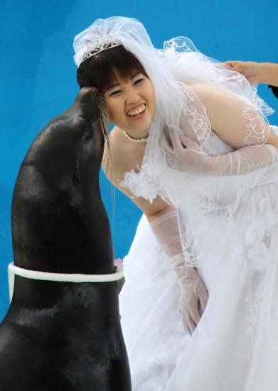 �M�D��һ���׺��������˳䮔(d��ng)���ɰ���