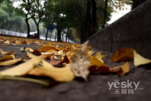 ���ܔ�(sh��)�a���C(j��)�Ј� ���M(f��i)���P(gu��n)ע��ǰʮ��C(j��)