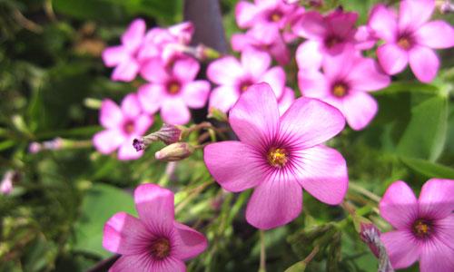 ���ܔ�(sh��)�a���C(j��)�Ј�(ch��ng) ���M(f��i)���P(gu��n)ע��ǰʮ��C(j��)