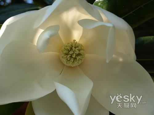 ʮһ���Ό��I(y��)֮�x �Ј����T�η����C���]