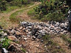 G 500�I㕡���ԇ�{���YȫϵSUV܇�� ��܇֮��