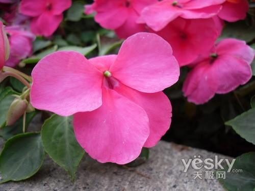 太空小丑平安著陸 智能長焦數(shù)碼相機(jī)推薦