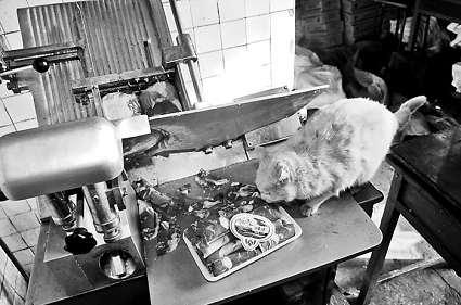 �и�õ���Ƭ�������ϵİ�ɫ��������؈���f����������Ƭ��ؓ(f��)؟(z��)�и���Ƭ��Ů�Ӵ󲿷֕r��ҕ����Ҋ ���M�DƬ ����ӛ�� ���� �z