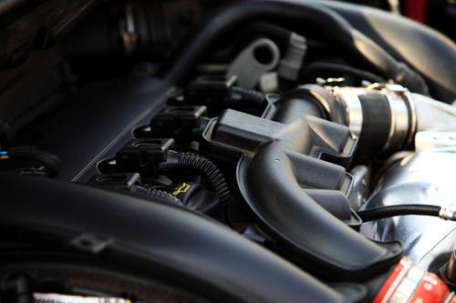 ԇ�{ѩ�F��C4 VTS�I��܇