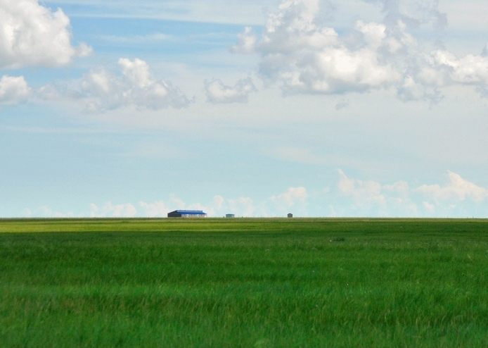 這個(gè)夏天，留一幀給“呼倫貝爾綠”
