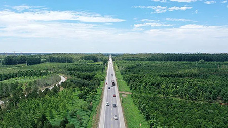 只此青綠，中國(guó)“雙碳”雄心背后的山河夢(mèng) 