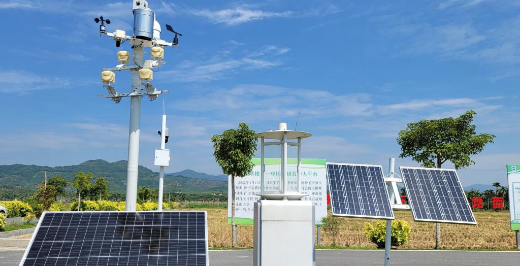 探訪在種業(yè)科研和創(chuàng)業(yè)熱土中成長的三亞“南繁硅谷”<p>晚秋的三亞，午間陽光依然炙熱。在崖州區(qū)壩頭南繁基地，由太陽能電池板提供能源，生態(tài)監(jiān)測系統(tǒng)、物聯(lián)網(wǎng)蟲情信息采集系統(tǒng)不間斷工作。<p>