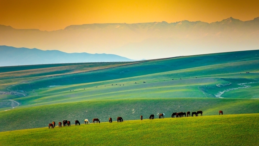 走進(jìn)“天”邊的畫(huà)卷 共赴大美新疆