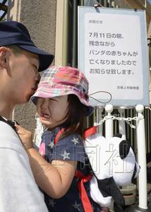 大熊貓幼崽夭折日本游客哀悼為其獻上鮮花(圖)