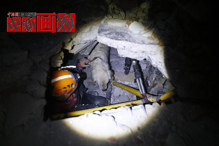 汪汪隊(duì)立大功！廢墟中尋找生命之光的搜救犬
