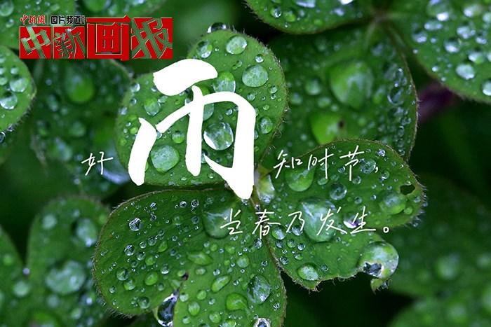 世界讀書(shū)日 把詩(shī)詞春天寫(xiě)進(jìn)春天里