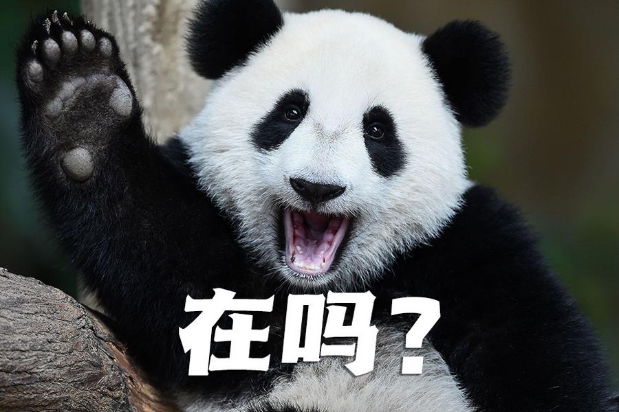 【世界微笑日特刊】嘿嘿，今天你笑了嗎？