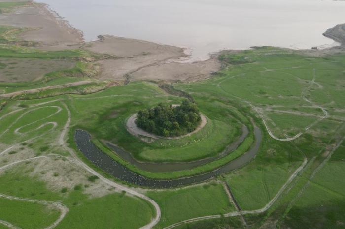 河南黃河三門(mén)峽庫(kù)區(qū)現(xiàn)“生態(tài)草原”景觀(guān)