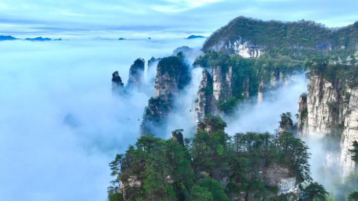 湖南張家界天子山迎來(lái)春日云瀑盛景