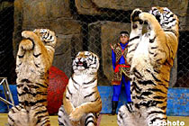 �ϻ��{����Ҿ����