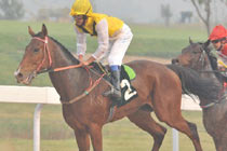 ِ�R�܂�������(l��)��